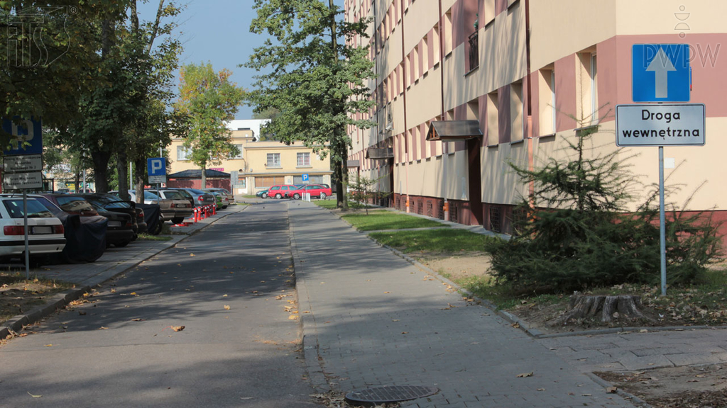 Ist das Rückwärtsfahren auf einer Einbahnstraße verboten?