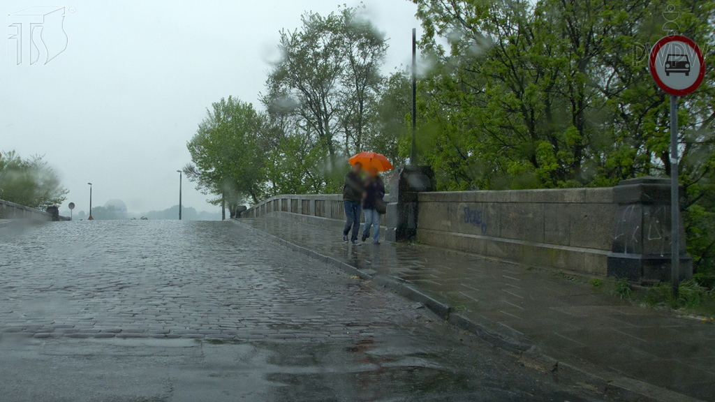 Darf eine behinderte Person, die einen Pkw mit einem Parkausweis fährt, ein sichtbares Verbotsschild missachten?