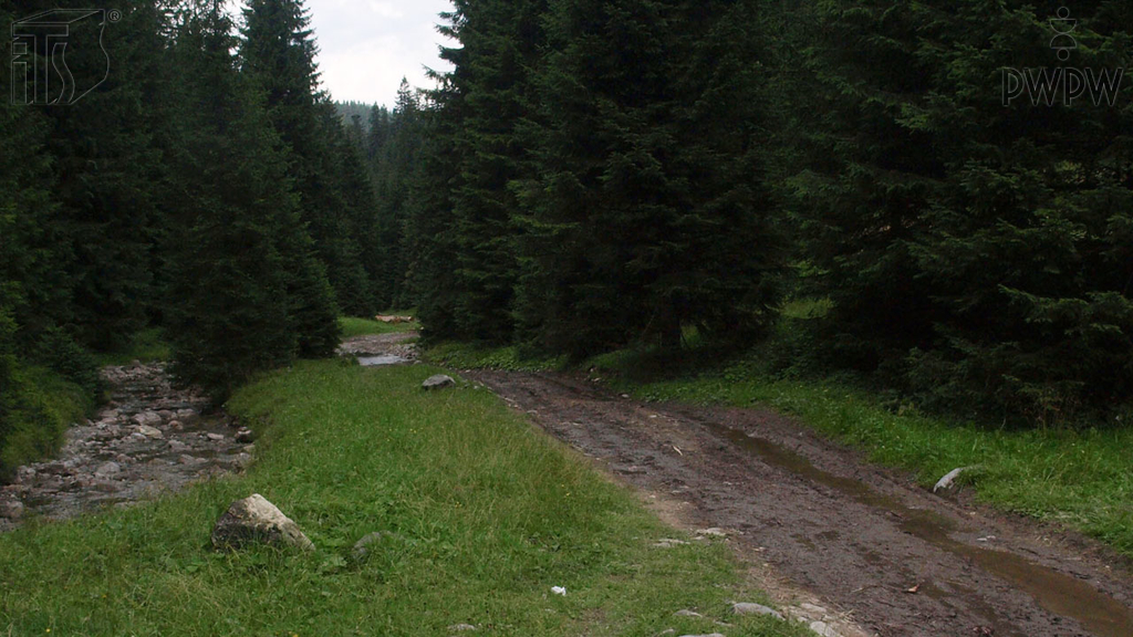 What body position should you maintain when going down a hill in a four-wheeled vehicle?