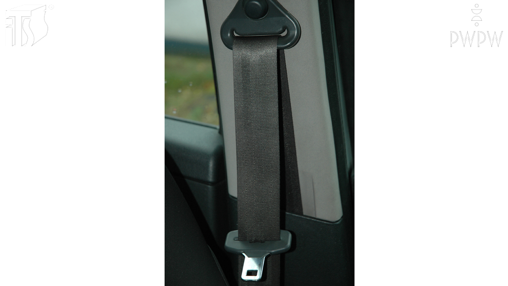 Wer ist verpflichtet, den Sicherheitsgurt zu benutzen?