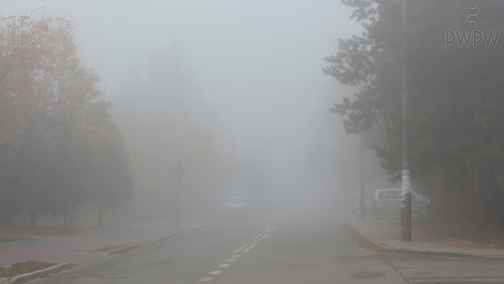 Welches von den genannten Lichtern der landwirtschaftlichen Zugmaschine kann die Sichtweite verschlechtern, wenn es beim Fahren im Nebel eingeschaltet ist?