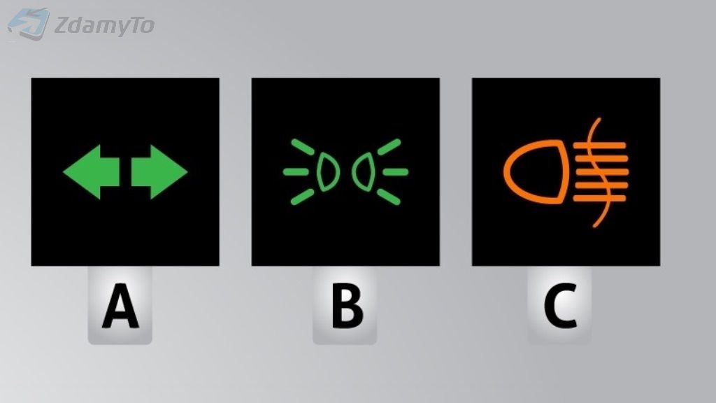 which of the control lights visible in the illustration informs you that direction indicators are enabled?