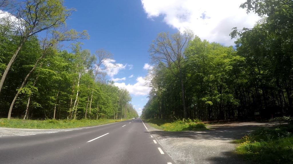 Welche Faktoren haben Einfluss auf die gesamte Wahrnehmungszeit und die Reaktion des Fahrers?