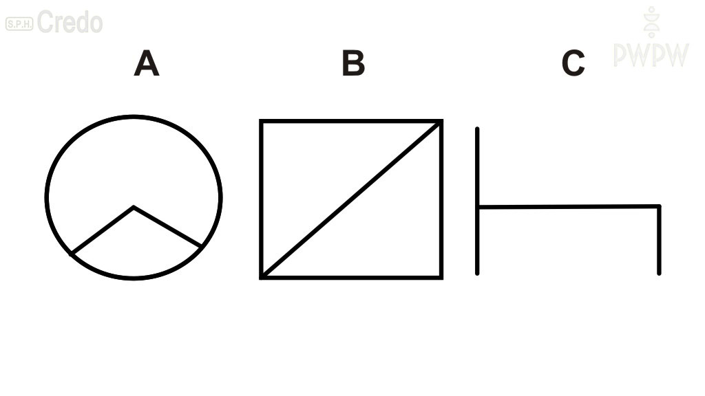Under which of the symbols shown does the tachograph record intervals during work and daily rest periods?