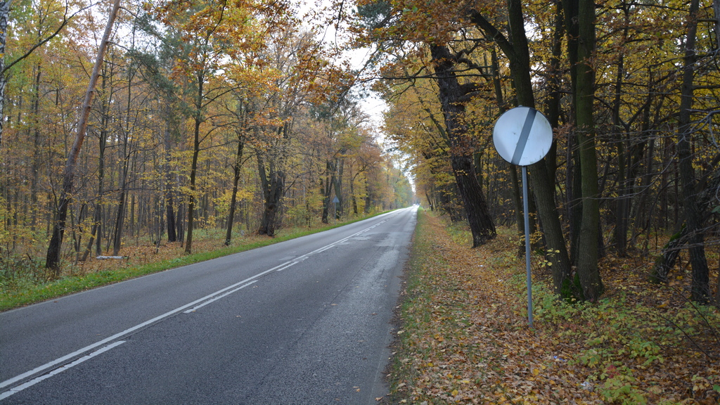 Widerruft das dargestellte Zeichen das mit dem Zeichen B-35 "Parkverbot" eingeführte Verbot?