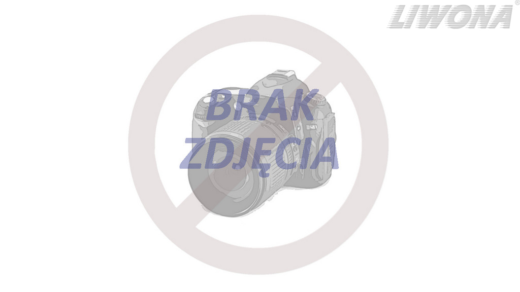 Was kann das Symptom einer geborstenen Bremsleitung im PkW sein?