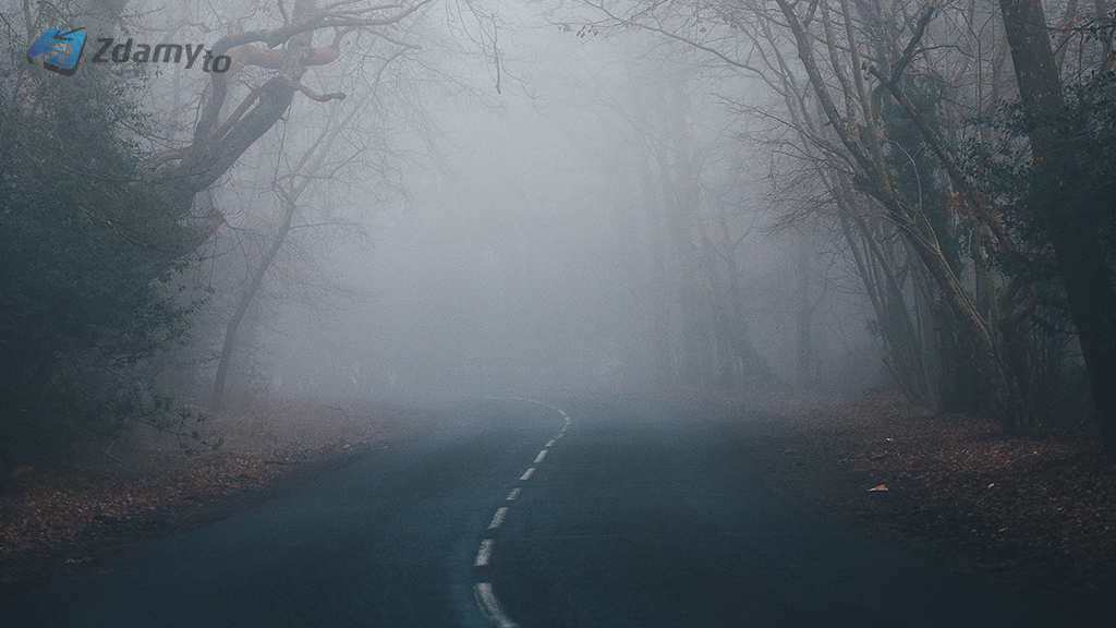 Як мінімізувати небезпеку під час руху в густому тумані?